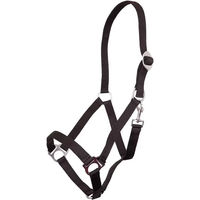 Produktbild von Premiere Equitation Halfter aus Kunststoff für Vollblut in Schwarz