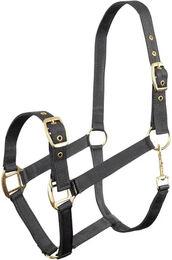 Produktbild von Premiere Equitation Halfter aus Kunststoff für Vollblut/VB