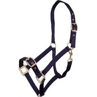 Produktbild von Premiere Equitation Halfter aus Kunststoff in Blau Größe M