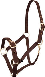 Produktbild von Premiere Equitation Halfter aus Kunststoff in Braun