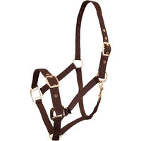 Produktbild von Premiere Equitation Halfter aus Kunststoff in Braun