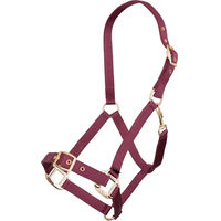 Produktbild von Premiere Equitation Halfter aus Kunststoff in Rot Größe M