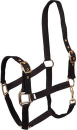 Produktbild von Premiere Equitation Halfter aus Kunststoff in Schwarz