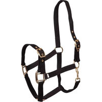 Produktbild von Premiere Equitation Halfter für Pferde in Schwarz aus Kunststoff