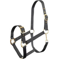 Produktbild von Premiere Equitation Pony Halfter aus Kunststoff
