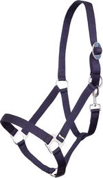 Produktbild von Premiere Equitation Shetty Halfter aus Kunststoff in Blau