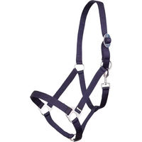 Produktbild von Premiere Equitation Shetty Halfter aus Kunststoff in Blau