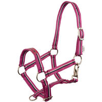 Produktbild von Premiere Fohlenhalfter Fun Pink aus Polypropylen Größe XS