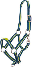 Premiere Fohlenhalfter Petrol Blue/Sky Blue Größe XS – Bild 1 von 2
