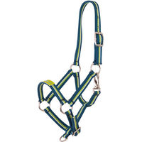 Produktbild von Premiere Fohlenhalfter Petrol Blue/Sky Blue Größe XS