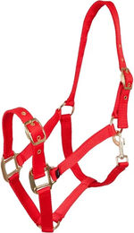 Premiere Halfter für Warmblut in Rot aus Kunststoff – Bild 1 von 2
