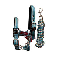 Produktbild von Premiere Halfter Set Muskton in Türkis aus Nylon