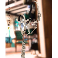Produktbild von Premiere Halfter Set Snap Hook Cement