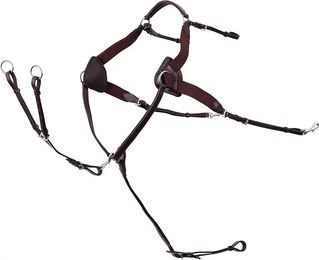 Produktbild von Premiere Jagdhalsband für Pferde aus Leder in Braun