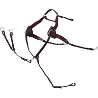Produktbild von Premiere Jagdhalsband für Pferde aus Leder in Braun