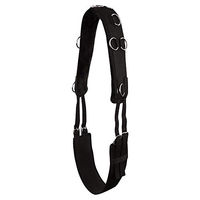 Produktbild von Premiere Longiergurt aus Kunstleder in Schwarz für Warmblut Pferde
