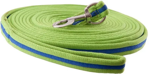 Premiere Longierleine Softgrip aus Nylon mit Karabinerhaken 8 Meter grün-blau – Bild 1 von 2