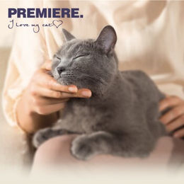 PREMIERE Multi-Cat XL Klumpstreu mit Aktivkohle 12 l - 12 l – Bild 1 von 2