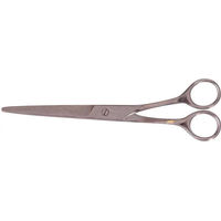 Produktbild von Premiere Putzschere in schmaler Form aus Edelstahl Silber