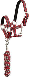 Premiere Set aus Halfter und Longiergurt für Pferde XS – Bild 1 von 1