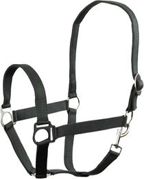 Produktbild von Premiere Soft Economic Ponyhalfter aus Nylon