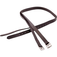 Produktbild von Premiere Steigbügelriemen aus Leder in Braun - 145 cm