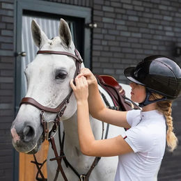 PresTeq FaySport Leder Zaumzeug mit Gebiss Braun für Warmblut – Bild 1 von 4