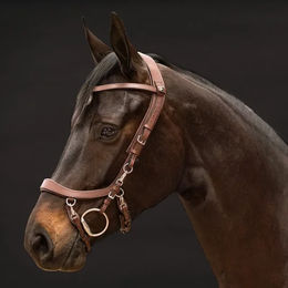PresTeq FaySport Trense aus Leder für Warmblut in Braun – Bild 1 von 3