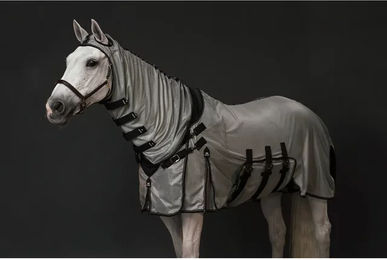 Presteq SmartProtection Fliegendecke für Pferde Grau 165 – Bild 1 von 5