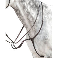 Produktbild von Prestige Martingal EVO Leder Martingal für Warmblut in Schwarz oder Braun