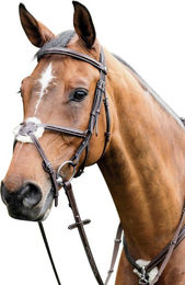 Prestige Mexikanische Trense aus Leder in Tobacco Braun für Warmblut – Bild 1 von 1