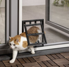 Primaster Katzenklappe für Fliegenschutzfenster aus Kunststoff in Schwarz – Bild 1 von 1