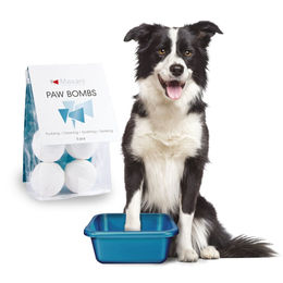 Primavera CavaDea Bio Wundpflege Salbe für Pferde mit ätherischen Ölen 95 ml – Bild 1 von 3