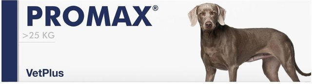Produktbild von Primox VetPlus Promax Large Breed Verdauungshilfe für Hunde
