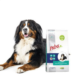 Prins ProCare Croque Veterinary Diet Gastro-Intestinal Low Fat Diätfutter für erwachsene Hunde 2 x 3 kg – Bild 1 von 1