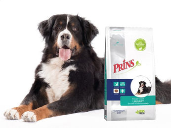 Prins ProCare Croque Veterinary Diet Urinary Struvite & Calciumoxalate Katzenfutter 2 x 3 kg – Bild 1 von 1