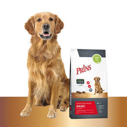 Prins Protection Croque Basic Excellent Hundefutter Adult 3 x 2 kg – Bild 1 von 2
