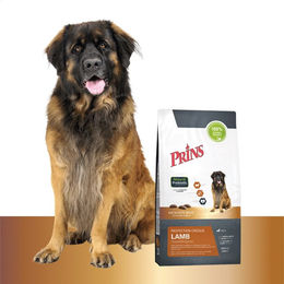 Prins Protection Croque Lamm Hypoallergen Sensitive Adult Hundefutter 2 x 2 kg – Bild 1 von 2