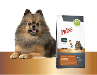 Prins Protection Croque Mini Hundetrockenfutter Lamm Hypoallergen Adult 2 x 2 kg – Bild 1 von 1