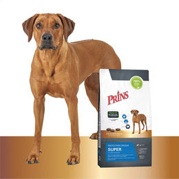 Prins Protection Croque Super Performance Hundefutter Junior 2 x 10 kg – Bild 1 von 1