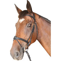 Produktbild von Privilège Equitation Cabourg Trense und Gebiss für Ponys aus Leder in Schwarz