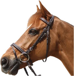 Produktbild von Privilège Equitation Leder Trense für Shettys in Braun oder Schwarz