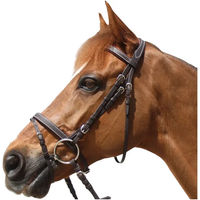 Produktbild von Privilège Equitation Leder Trense für Shettys in Braun oder Schwarz