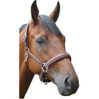 Produktbild von Privilège Equitation Pony Halfter aus Leder in Braun