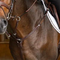 Produktbild von Pro Line Arezzo Jagdhalsband für Pferde aus Leder in Braun