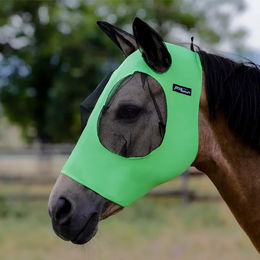 Produktbild von Pro-Tech Fliegenhaube für Pferde aus dehnbarem Lycra in Grün