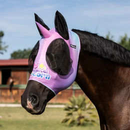 Produktbild von Pro-Tech Lycra Fliegenhaube für Pferde mit Ohrenbedeckung Bunt Größe S