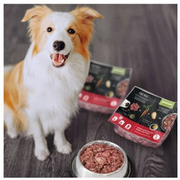 proCani Hundefutter Rind Menü glutenfrei und ohne Zucker 28 x 500 g - 28 x 500 g – Bild 1 von 3