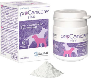 ProCanicare Plus Probiotika Pulver für die Magen-Darm-Verdauung 30 g – Bild 1 von 1