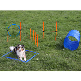 Procyon Agility-Gerät Bunt – Bild 1 von 6